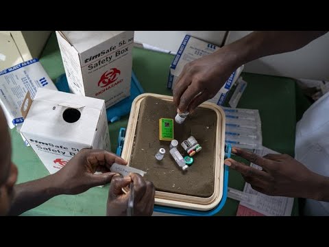 Cameroun : 12 pays africains prônent un front commun contre le paludisme, Africa News - Vidéo Cameroun 12 pays africains pronent un front commun contre