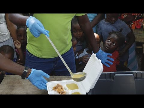 FAO : 33 pays africains ont besoin d'une aide alimentaire, Africa News - Vidéo FAO 33 pays africains ont besoin dune aide alimentaire