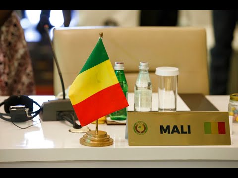La CEDEAO lève ses sanctions contre le Mali et la Guinée, Africa News - Vidéo La CEDEAO leve ses sanctions contre le Mali et la