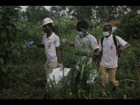 RDC : à Goma, la Croix-Rouge alerte sur le sort des déplacés par le M23, Africa News - Vidéo RDC a Goma la Croix Rouge alerte sur le sort