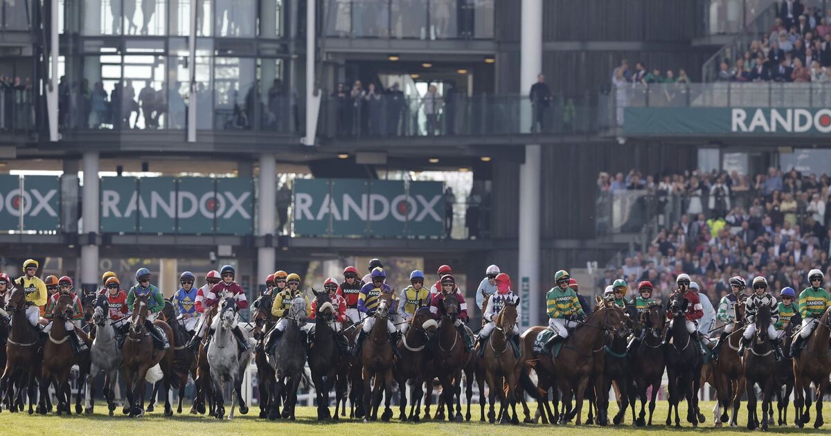 Grand National 2024 Runners Confirmed With Full 34horse List As