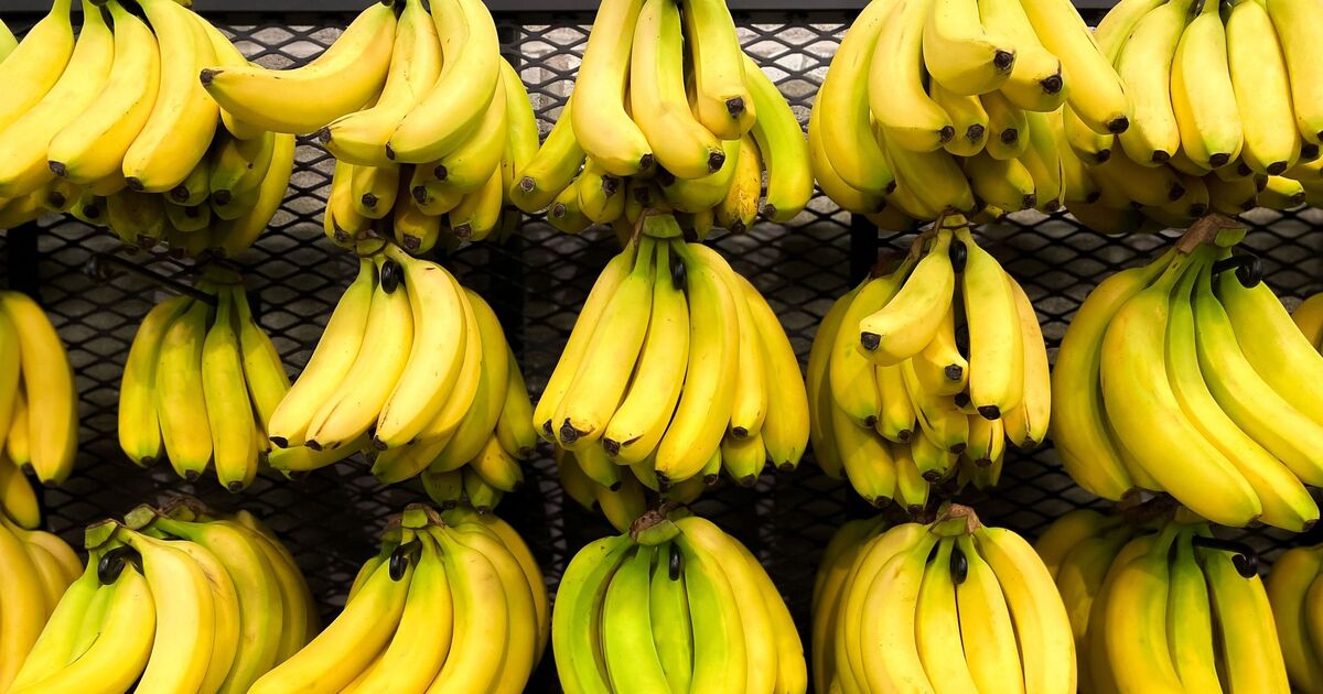 Gardez les bananes mûres plus longtemps en les conservant à cette température exacte 5334569