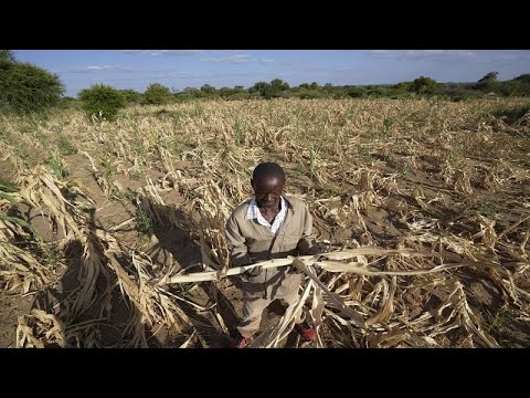Afrique australe : la sécheresse menace 20 millions de personnes de famine, Africa News - Vidéo Afrique australe la secheresse menace 20 millions de personnes