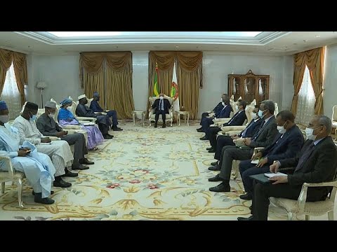 Après la Guinée, la délégation malienne est en visite à Nouakchott, Africa News - Vidéo Apres la Guinee la delegation malienne est en visite a