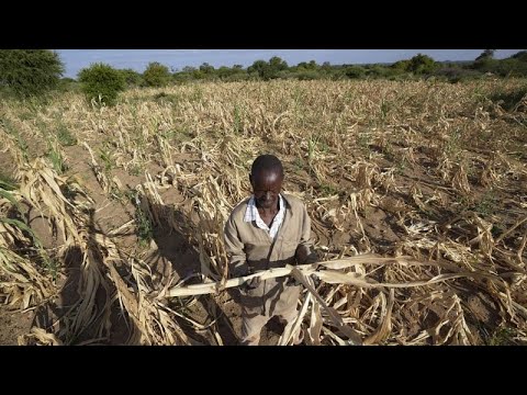 Le FMI met en garde contre l'impact des chocs climatiques en Afrique, Africa News - Vidéo Le FMI met en garde contre limpact des chocs climatiques
