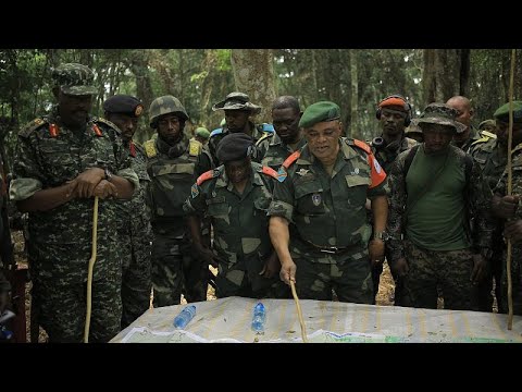 RDC : les troupes alliées FARDC-UPDF enchaînent les victoires, Africa News - Vidéo RDC les troupes alliees FARDC UPDF enchainent les victoires Africa