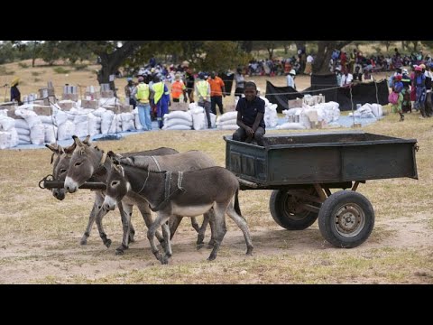 Sécheresse : le Zimbabwe déclare l'état de catastrophe, Africa News - Vidéo Secheresse le Zimbabwe declare letat de catastrophe Africa News